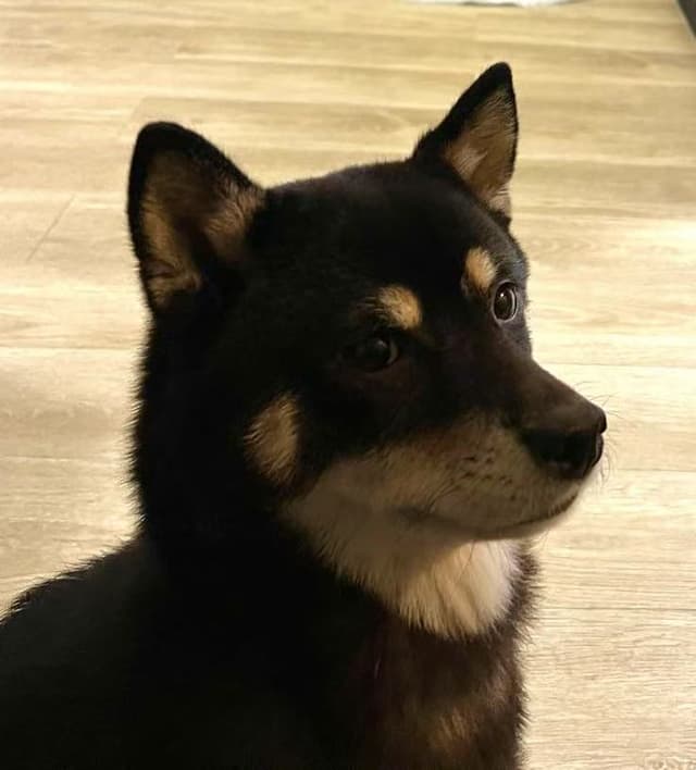 Urba Kun